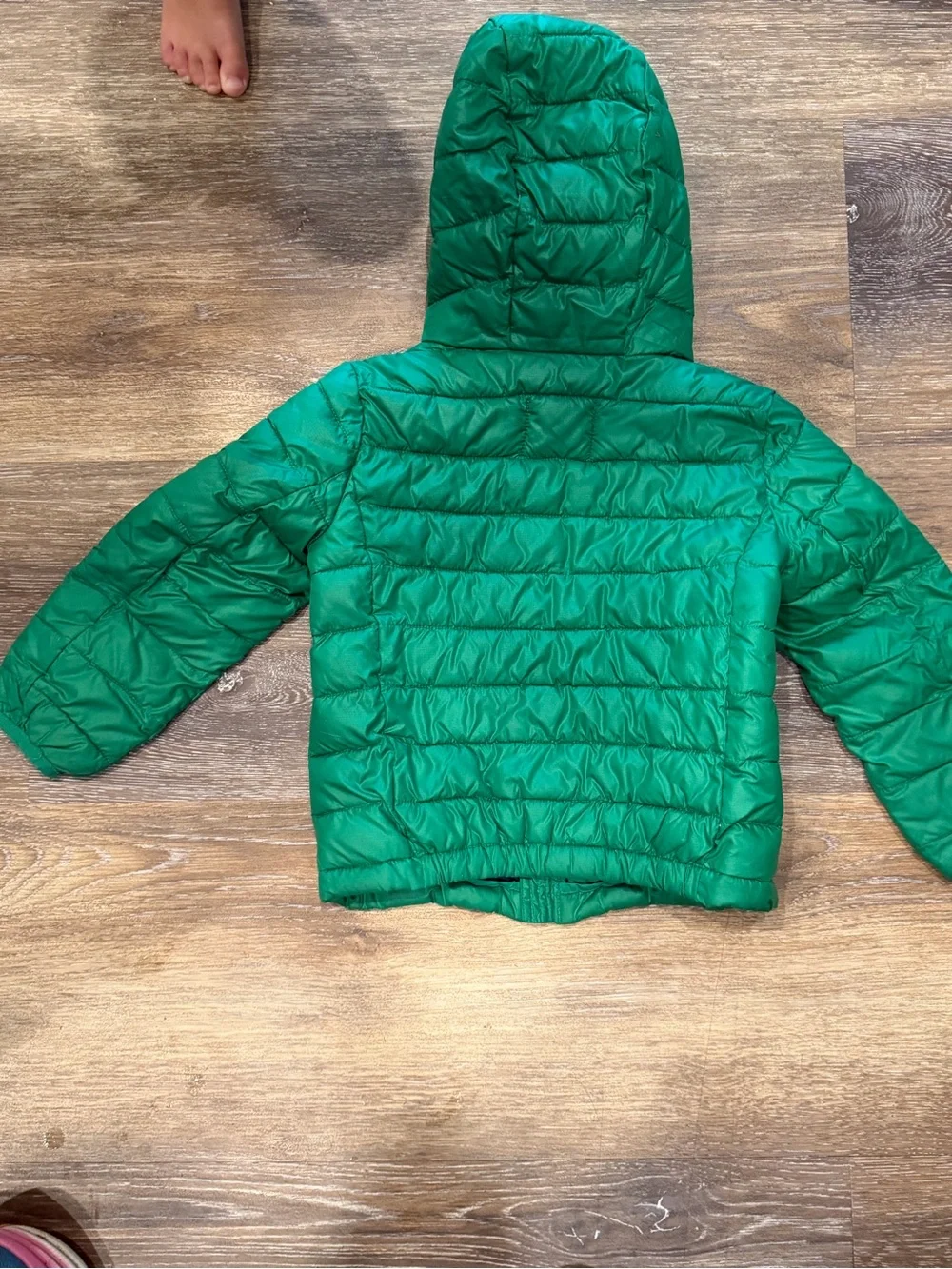 Primary Green Hooded Lightweight Puffer Jacket for Kids